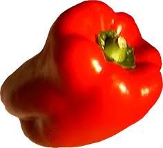 Poivron rouge Bio 
