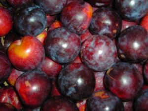 Prune violette Bio 