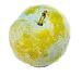 Prune jaune "Golden Japan" 